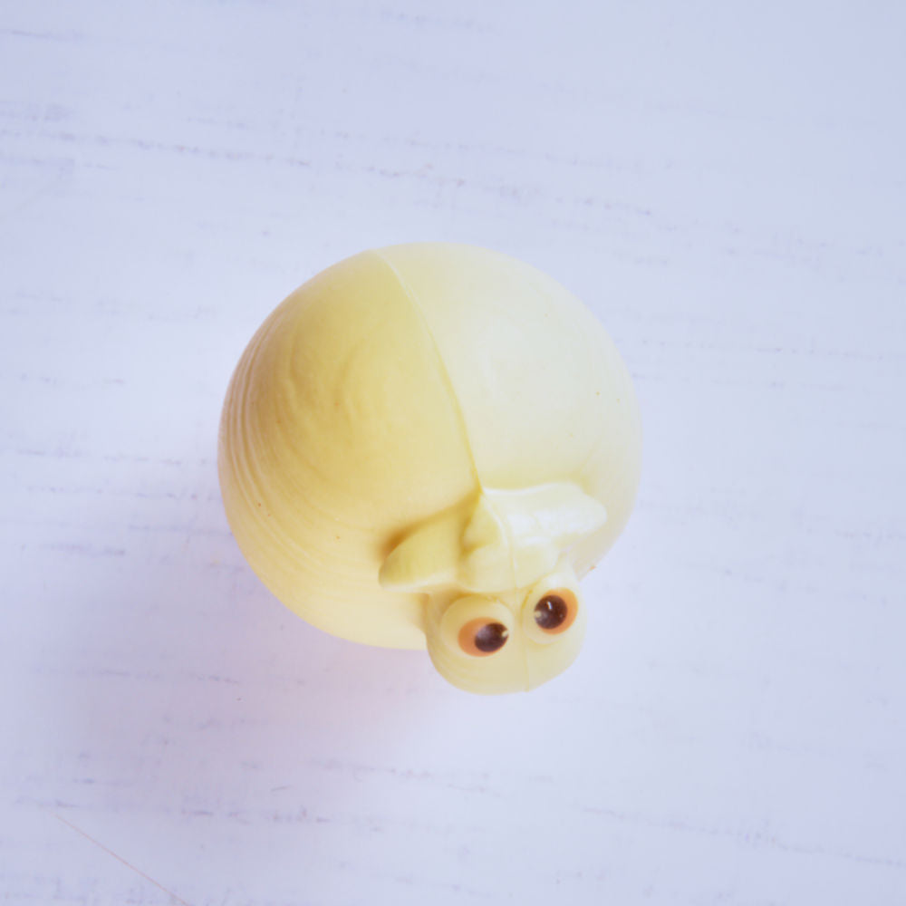Mon Bichon Chocolat blanc pistache