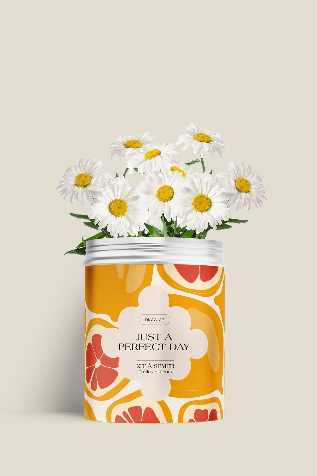 Un kit de siembra para un día perfecto