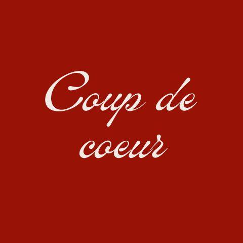 Les coups de coeur de Noël