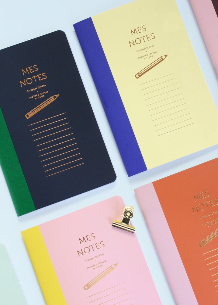 Cahier bi-goût Mes notes - Bleu et jaune pastel