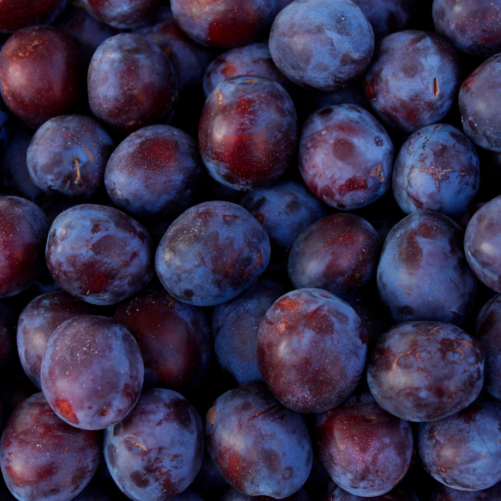 Huile Botanique Française de Prune