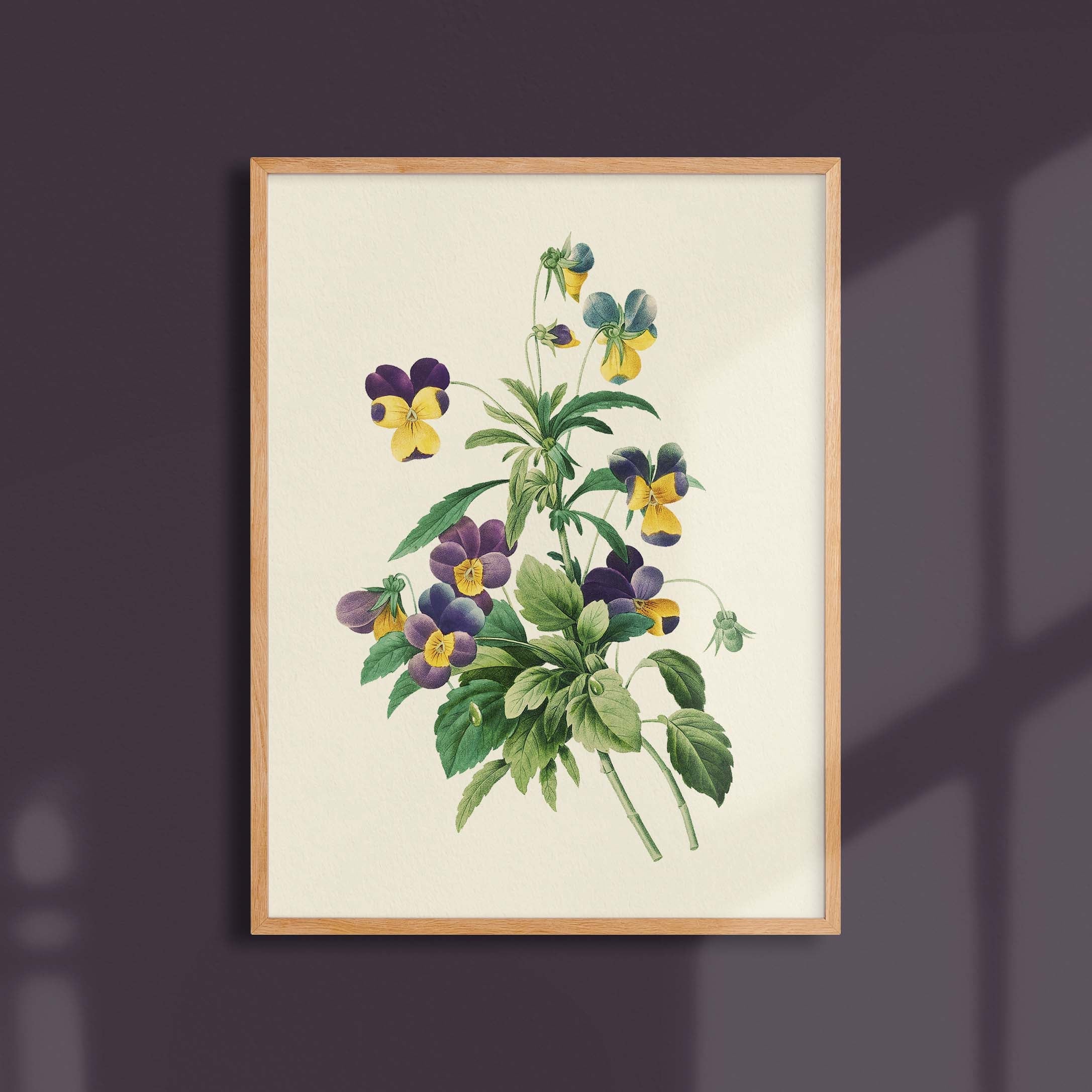 Affiche Fleurs La Pensée