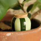 Olla - Striped Green and Green - Piece - Pepin