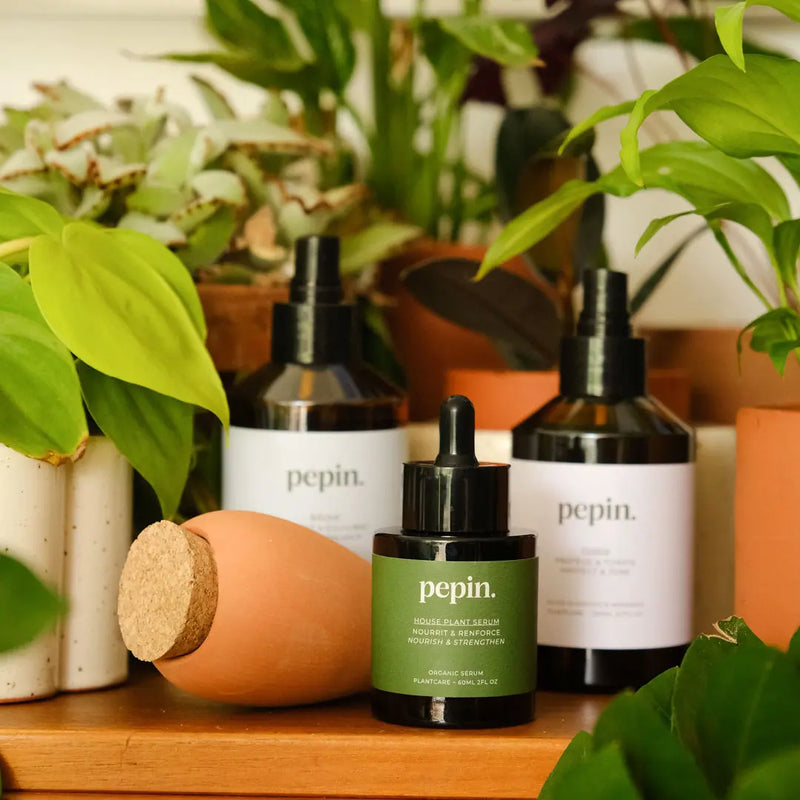 Routine Plantcare