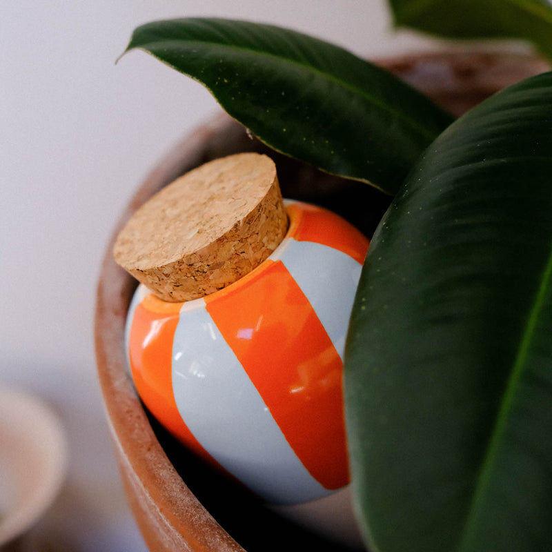 Olla Rayé Orange et Bleu