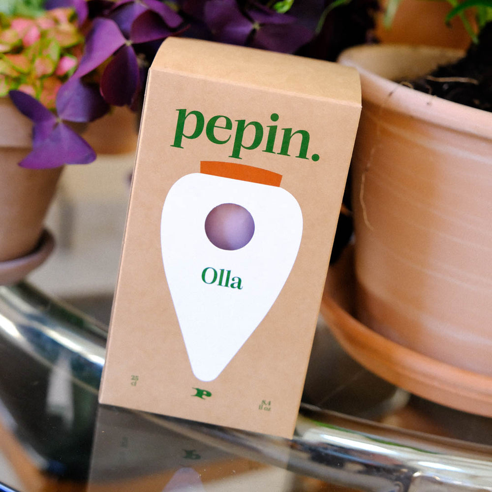 Olla Rayé Vert et Lilas