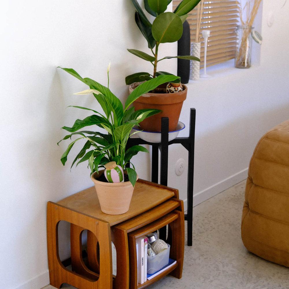 Olla Rayé Vert et Lilas