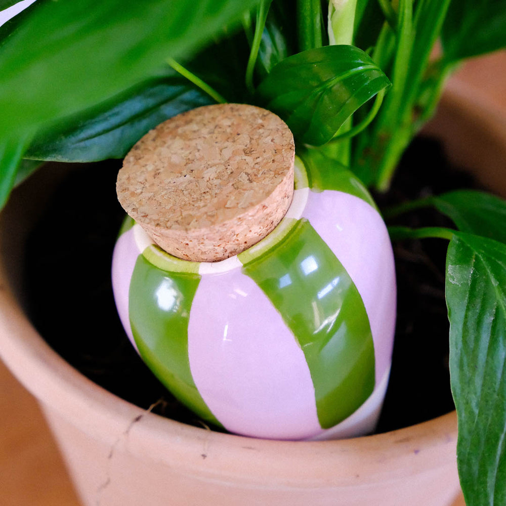 Olla Rayé Vert et Lilas