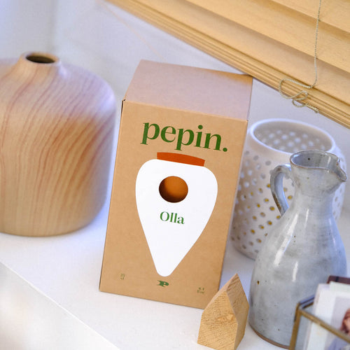 Olla - Terracota - Pepin