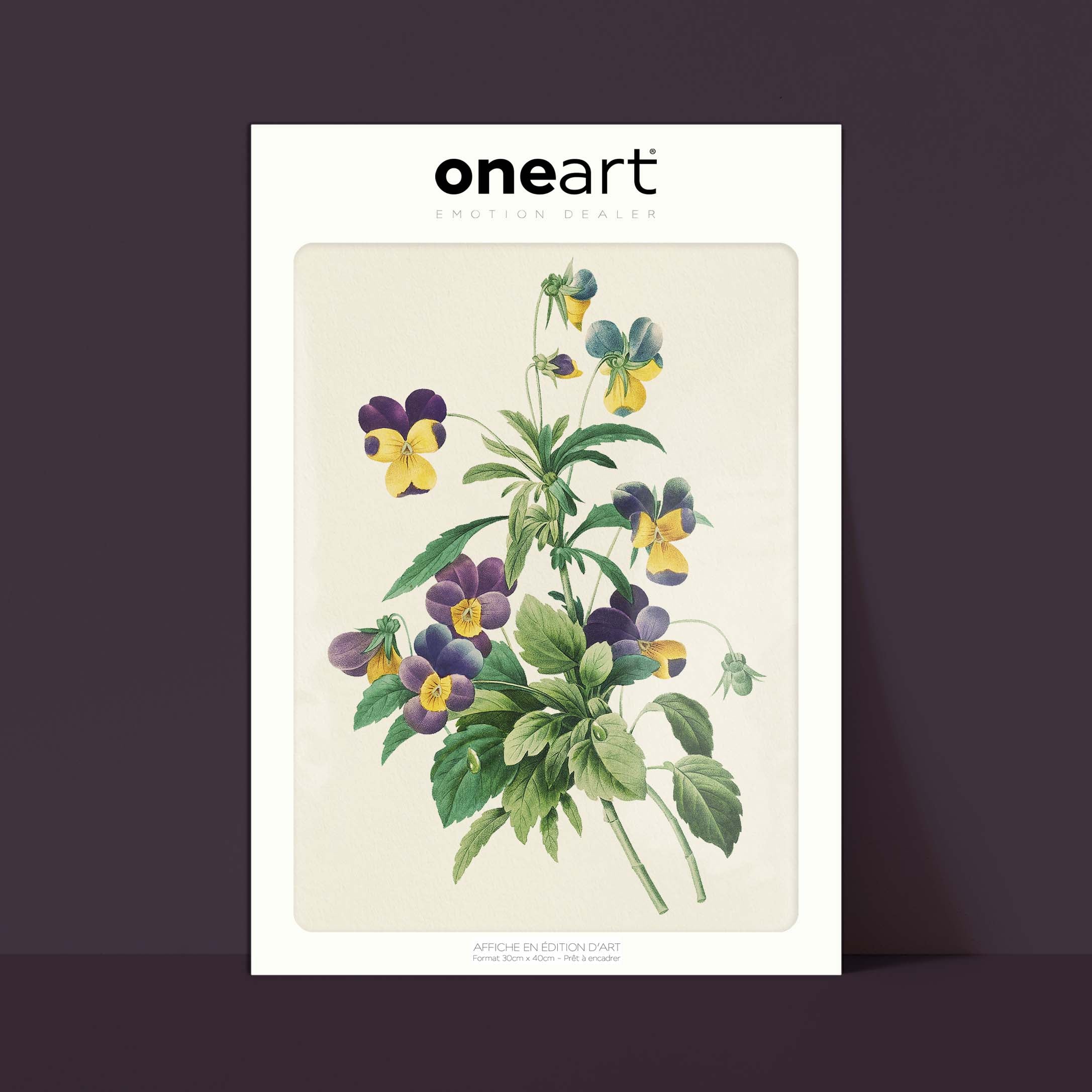 Affiche Fleurs La Pensée