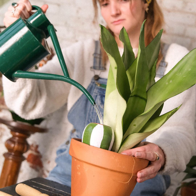 Trio de Mini Ollas Les Rayés