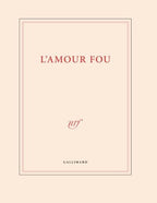 Grand carnet de dessin - L'amour fou