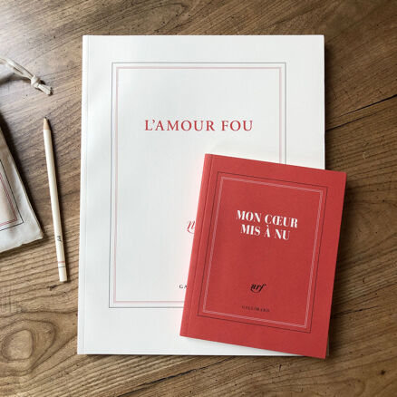 Grand carnet de dessin - L'amour fou