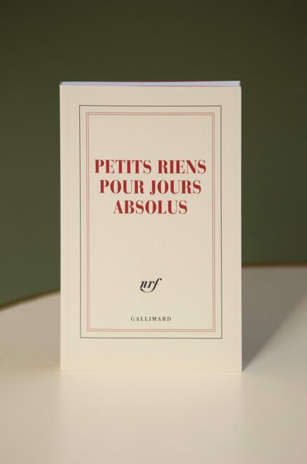Carnet - Petits riens pour jours absolus
