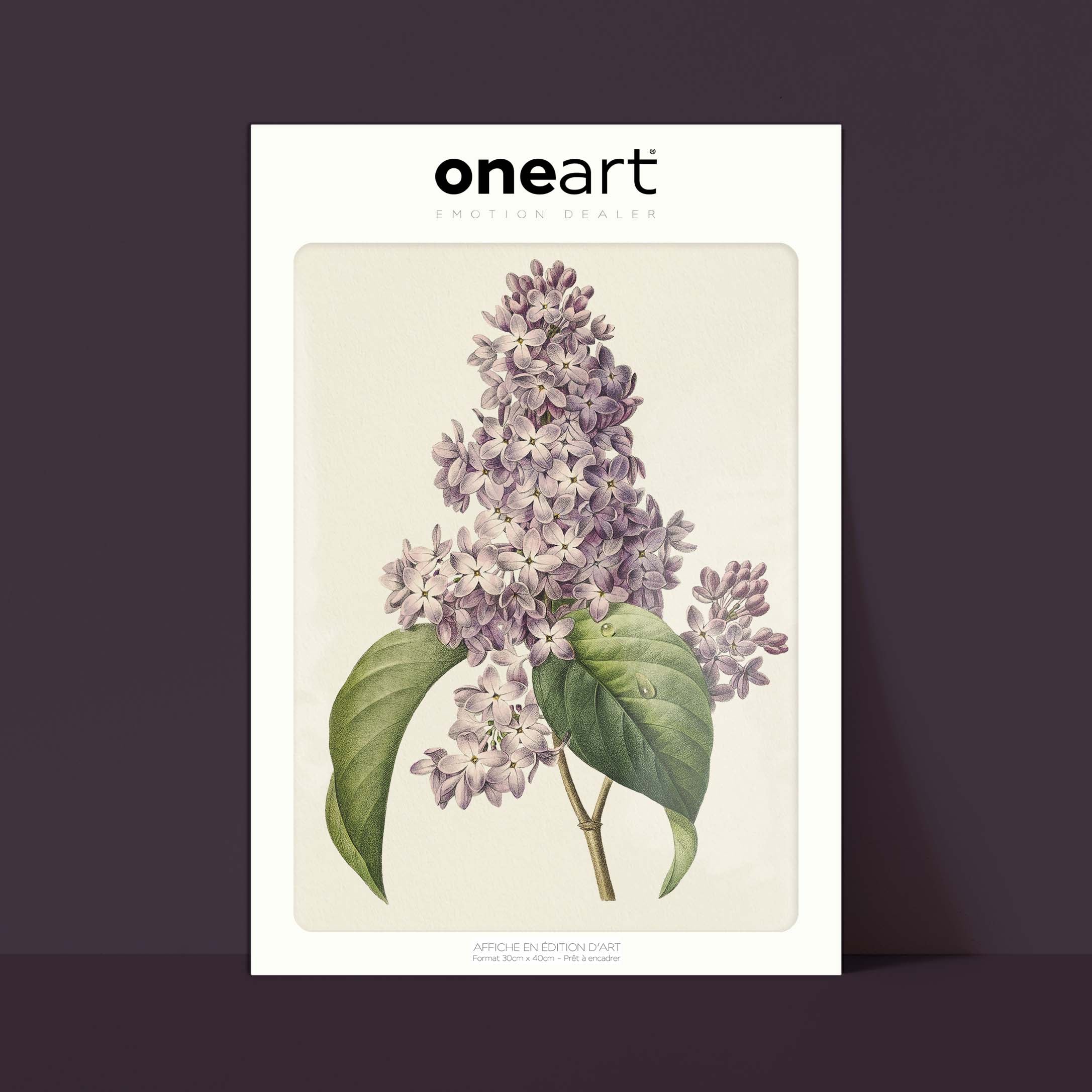 Affiche Fleurs Lilas