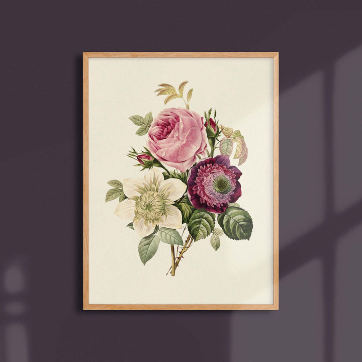 Póster Flores Rosa Anémona Clemátide 