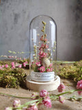 Dôme botanique Delphinium Atelier Wild