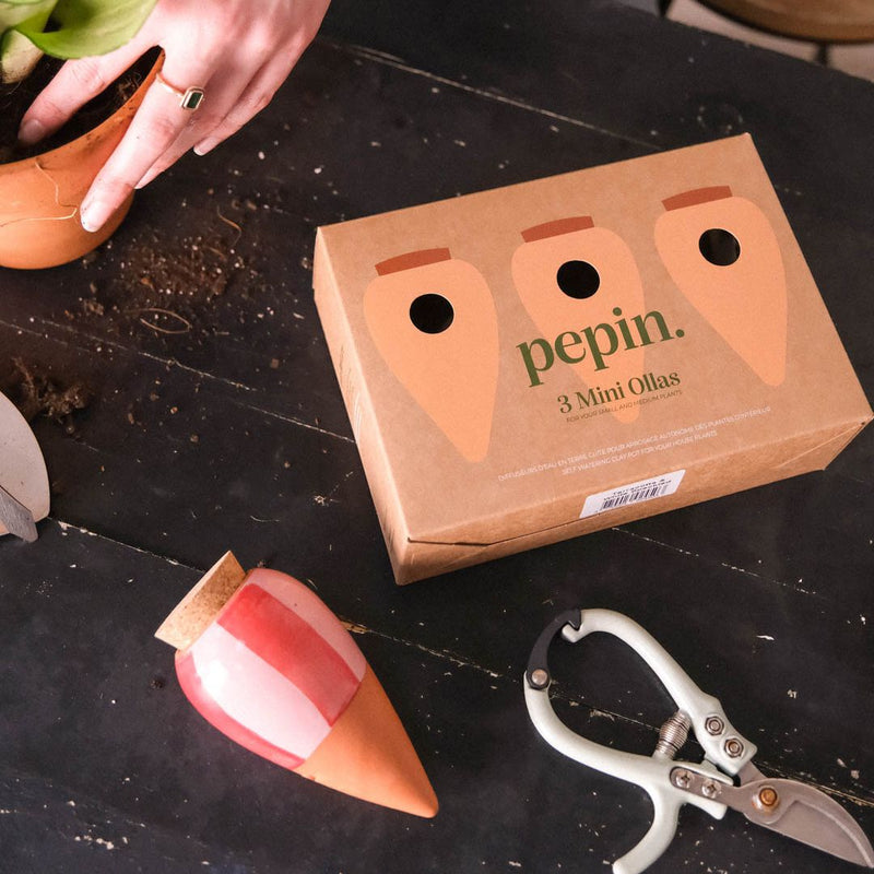 Trio de Mini Ollas Les Rayés