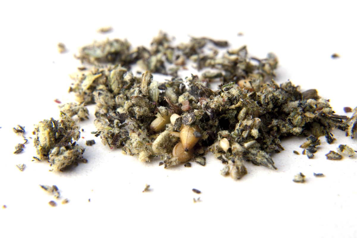 Za'atar