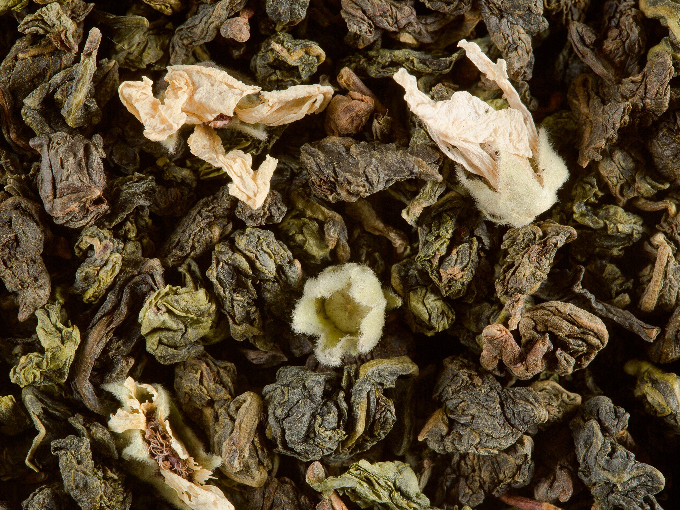 Thé Oolong Week-end à Paris N°501