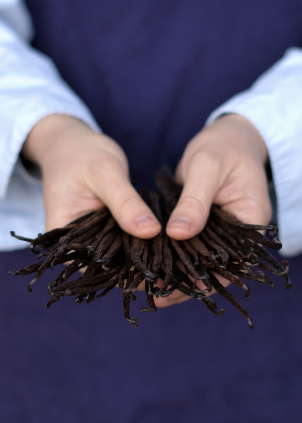 Rhum Arrangé Canelé de Bordeaux Vanille