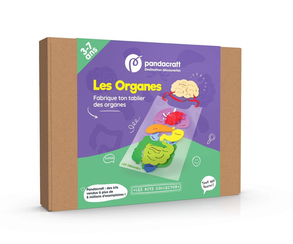 kit activité les organes