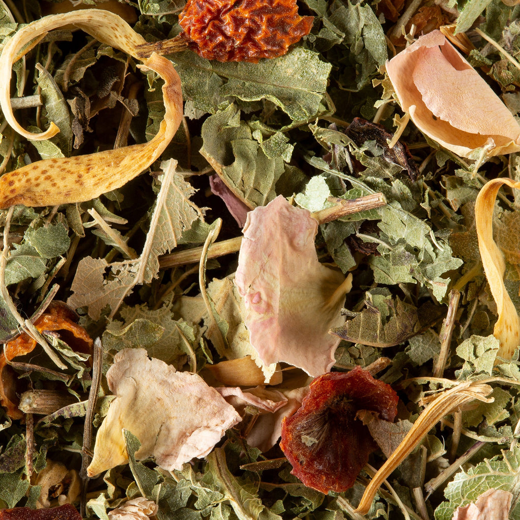 Tisane Nuit à Versailles