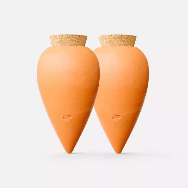 Duo of Ollas Terracotta - Piece - Pepin