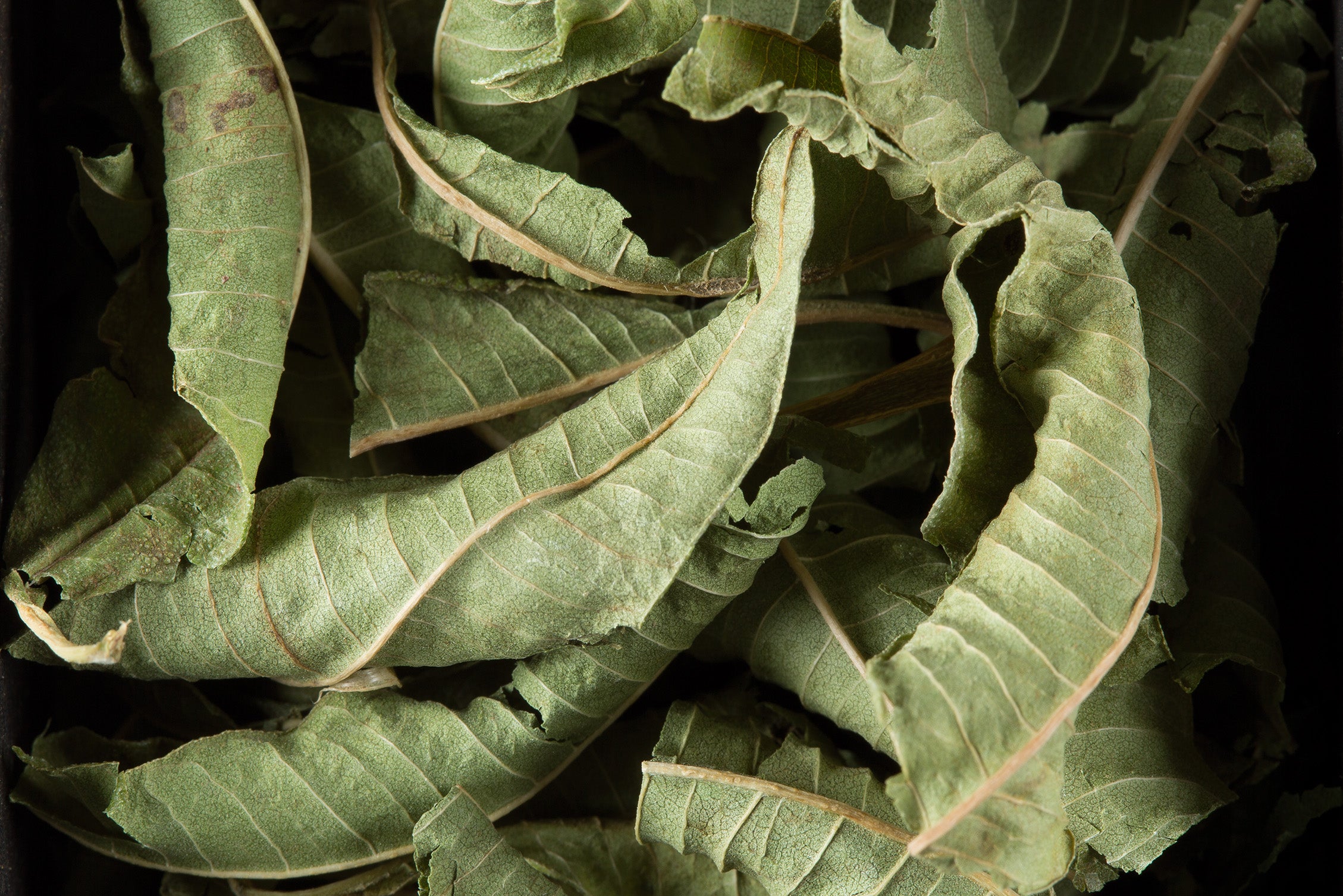 Infusion Verveine sachet à l'unité