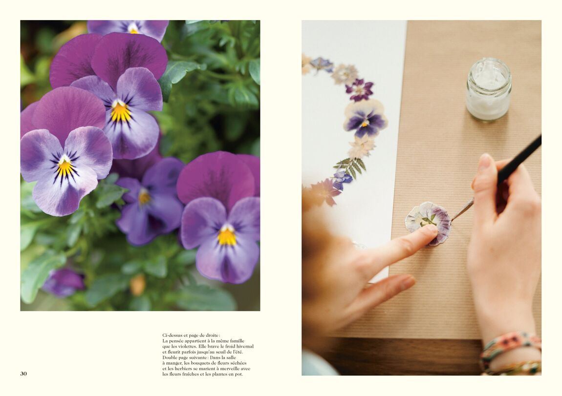 Herbarium - Un art de vivre avec les fleurs séchées