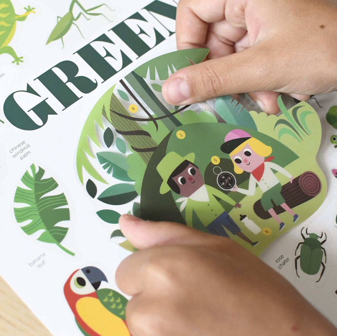 Poster Stickers Jungle