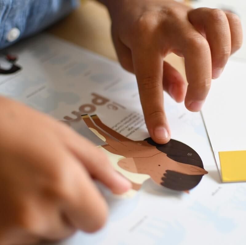 Mini Poster Stickers Poney