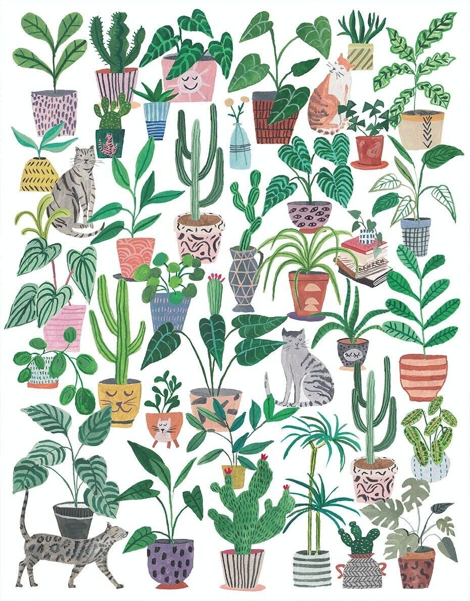Puzzle Cats and plants - 500 pièces