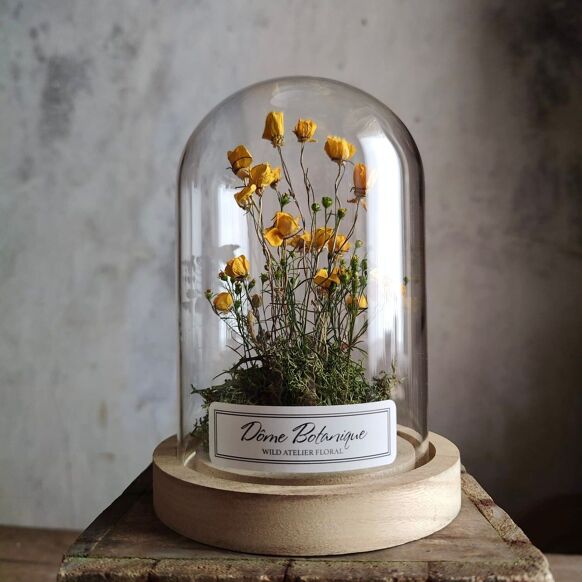 Dôme botanique Bouton d'or