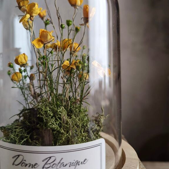 Dôme botanique Bouton d'or