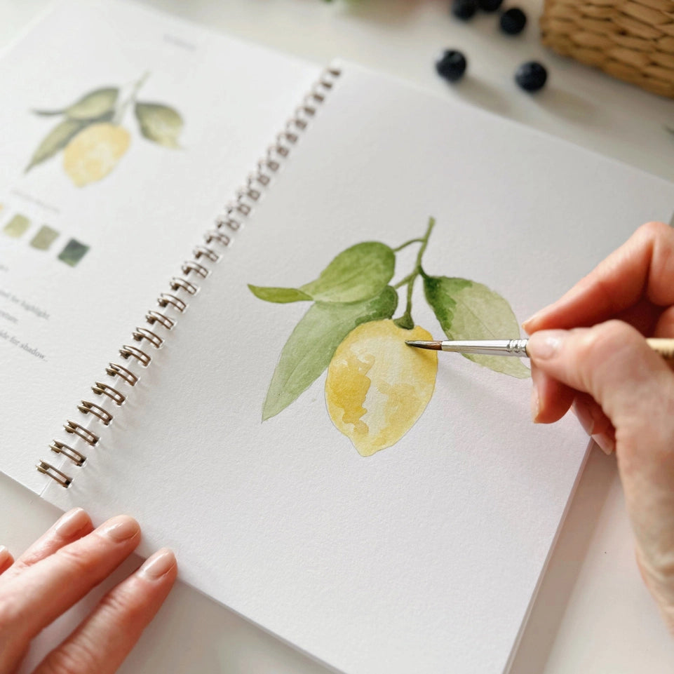 Carnet d'Aquarelle Fruits