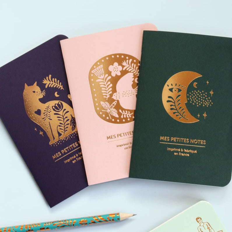 Trio Petits Carnets Rêverie