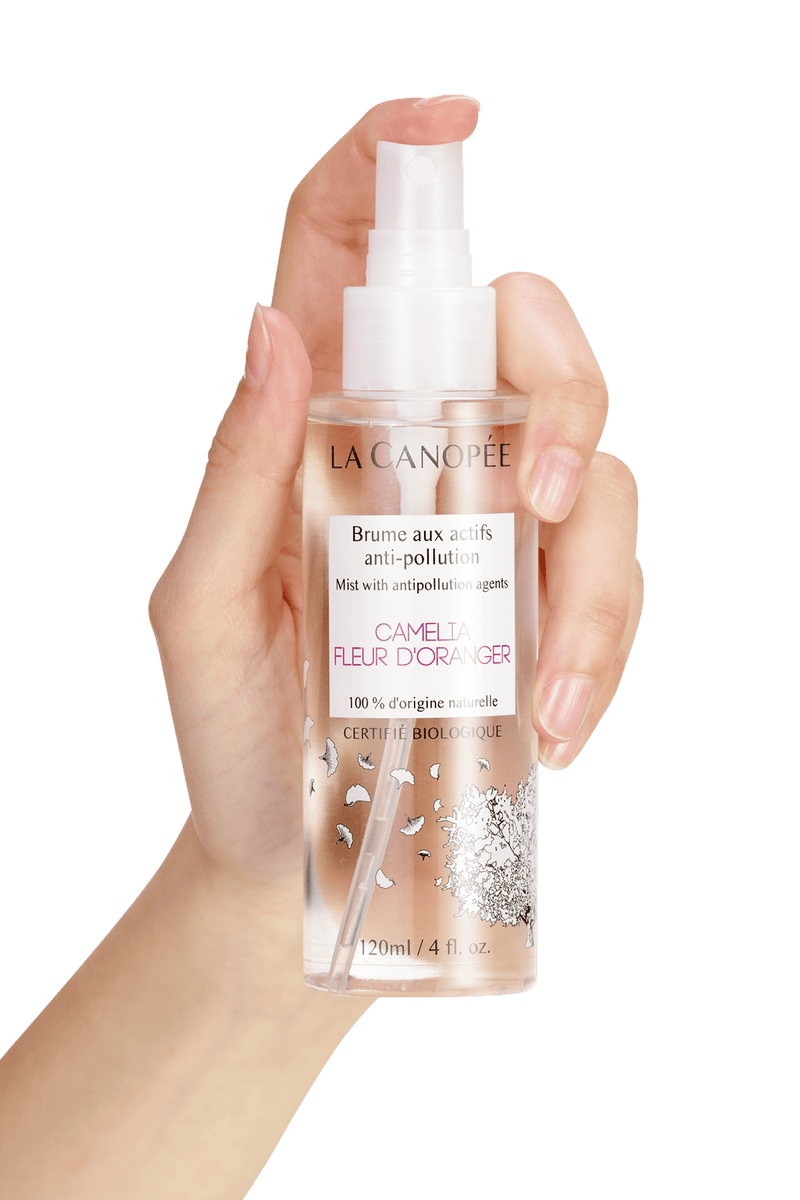 Mist with anti-pollution active ingredients