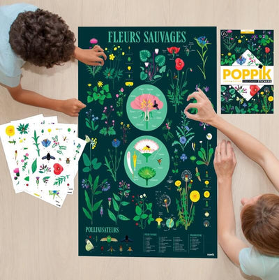 poster botanique herbier pour décorer une chambre thème nature enfant