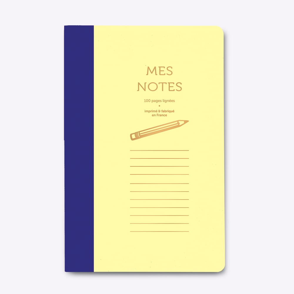 Cahier bi-goût Mes notes - Bleu et jaune pastel