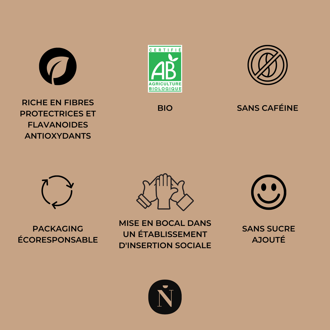 Chicorée Escale Cacao