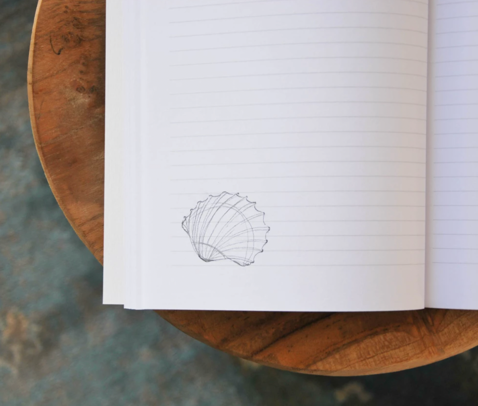 Carnet A5 Coquilles