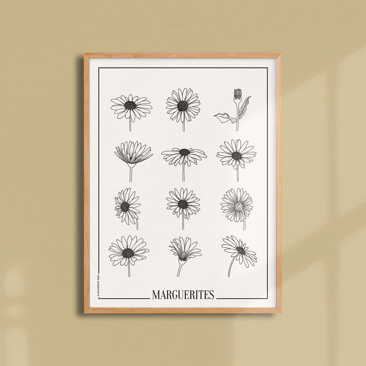 Affiche Atelier Dazat Marguerites