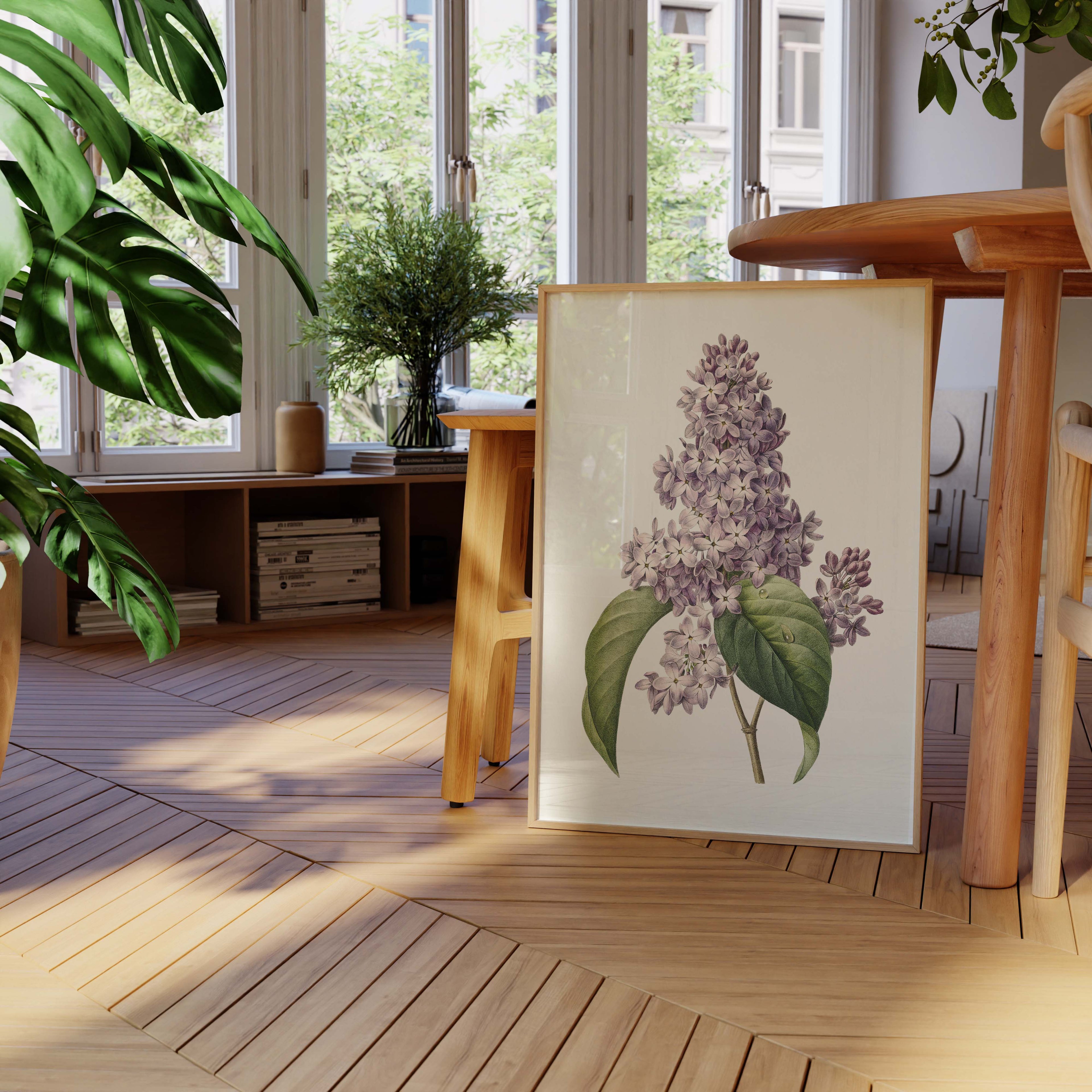 Affiche Fleurs Lilas