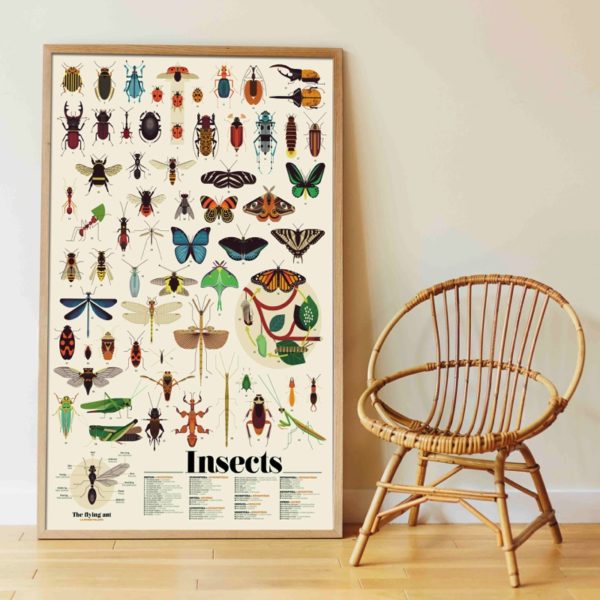 Poster XXL Stickers - Insectes