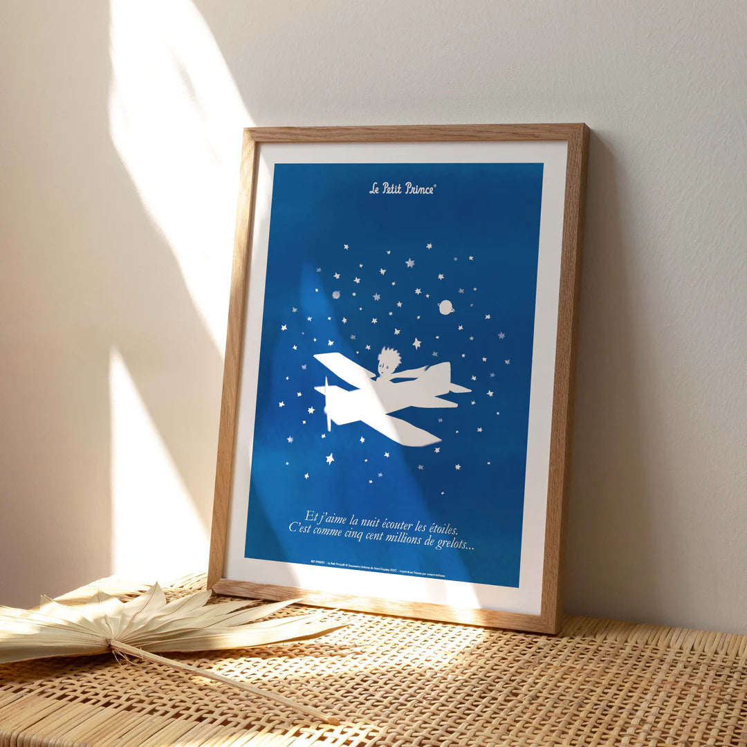 Affiche Le Petit Prince Avion