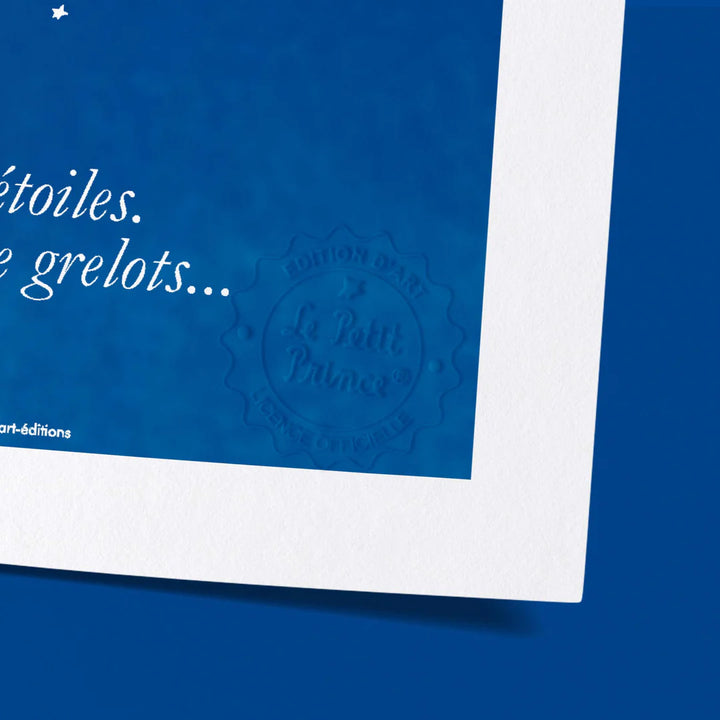 Affiche Le Petit Prince Avion