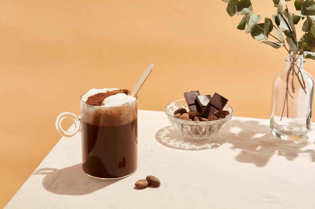 Chicorée Escale Cacao