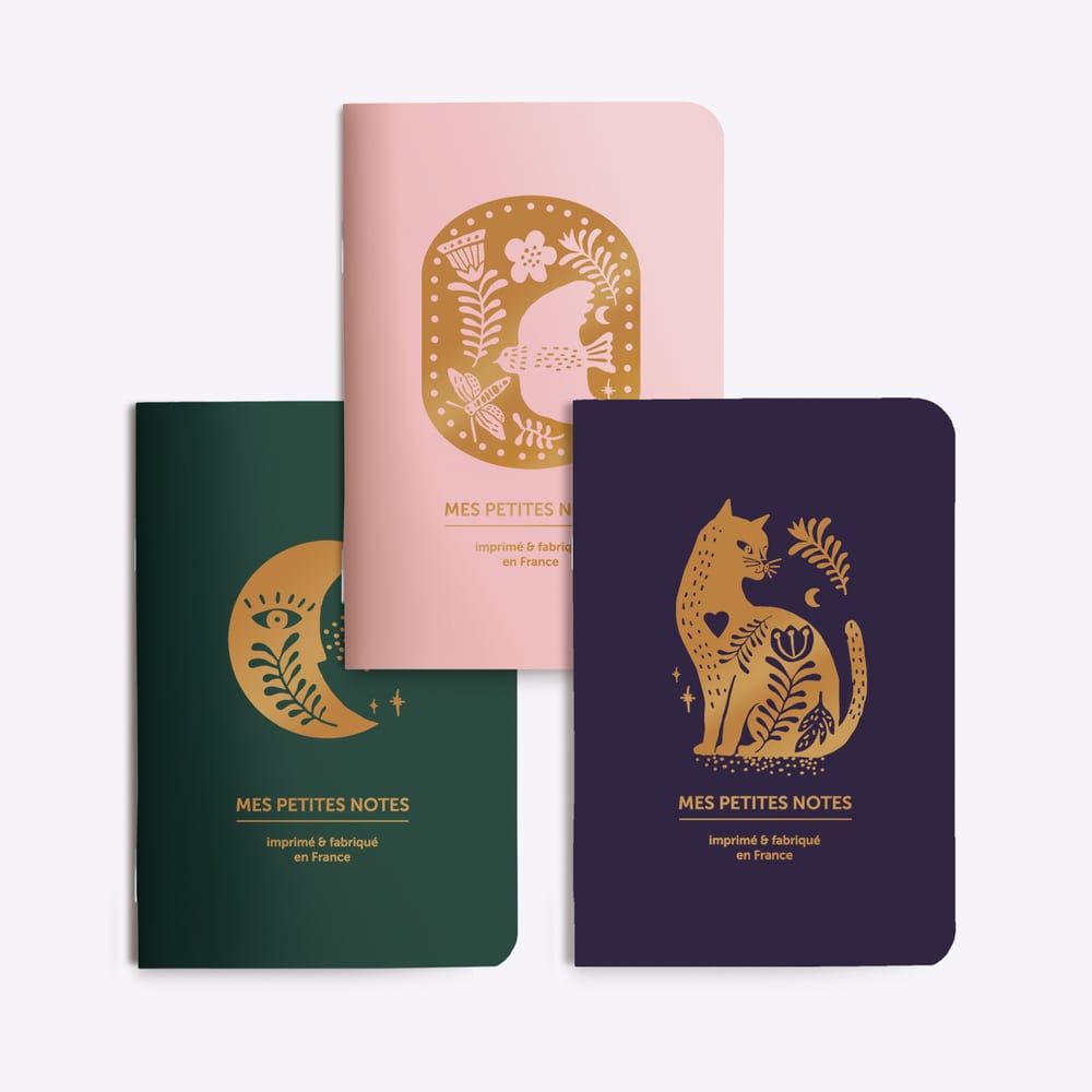 Trio Petits Carnets Rêverie