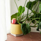 Olla Rayé Rose et Rouge